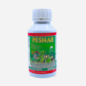 PESNAB